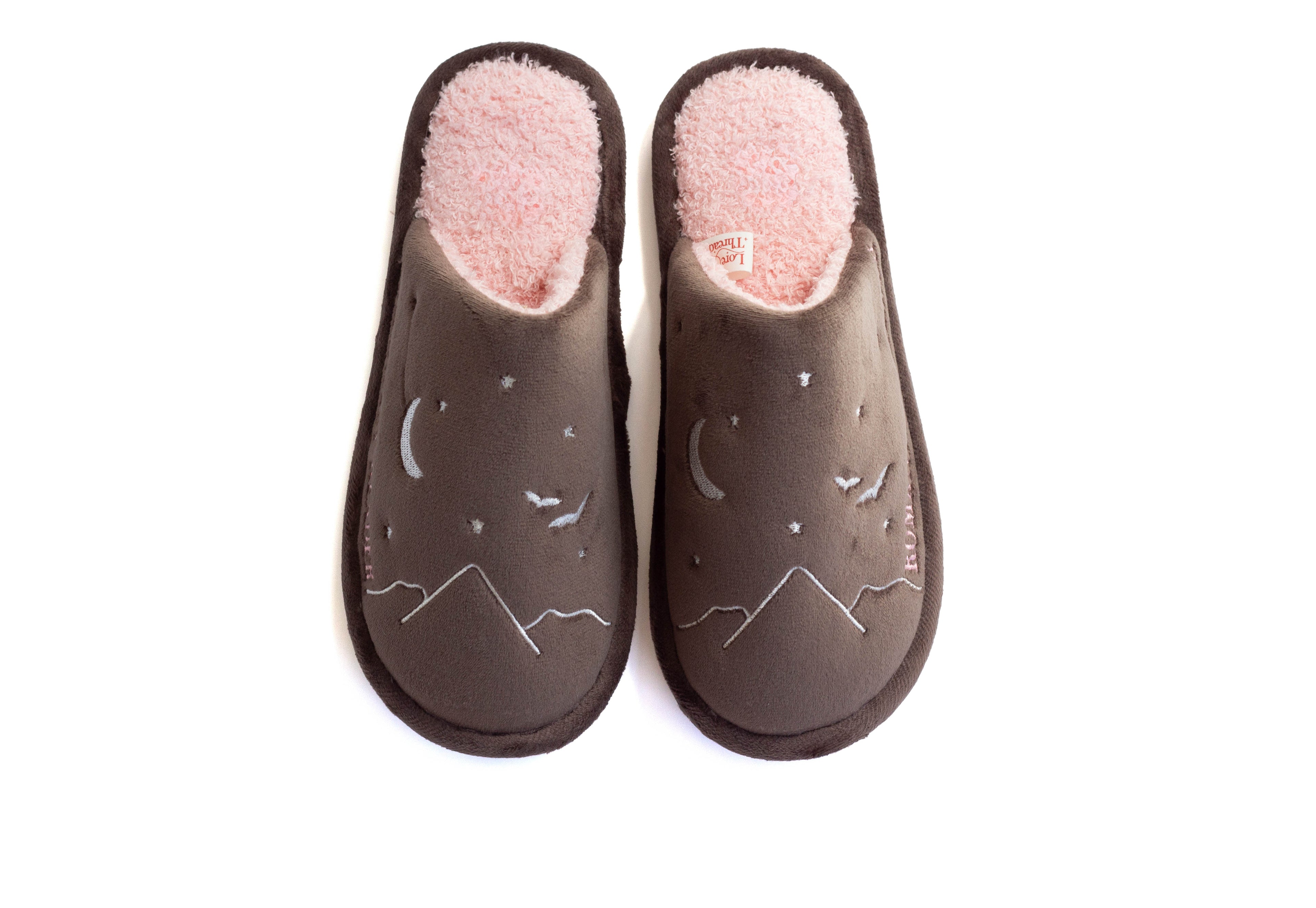 Romantasy Reader Slipper